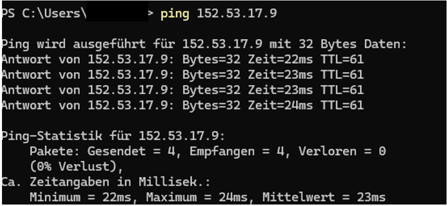 Server anpingen