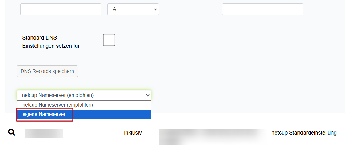 Nameserver im CCP auswählen